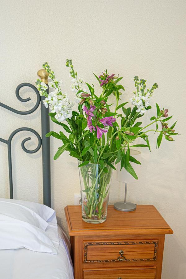 Ispal Apartment & Parking Seville Historic Center Vutse06601 المظهر الخارجي الصورة